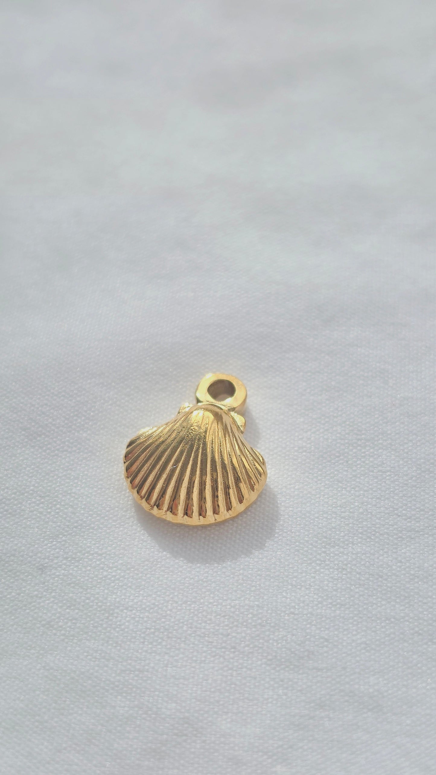 GOLDEN SHELL 𖦹 Charm