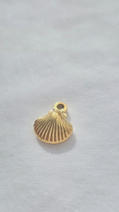 GOLDEN SHELL 𖦹 Charm