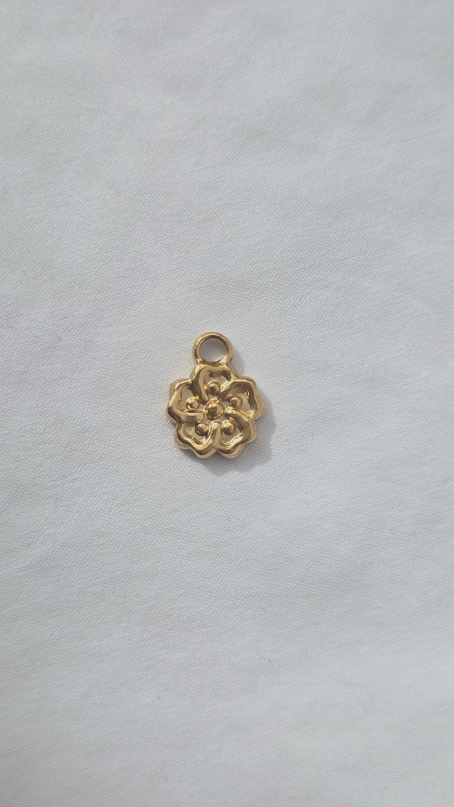 BLOOMIE 𖦹 Charm