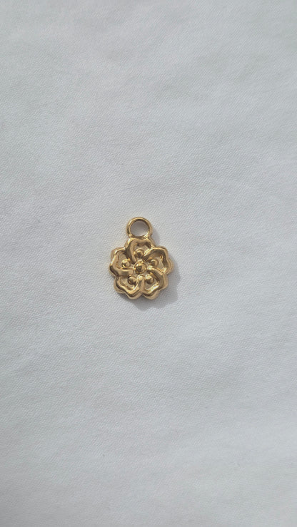 BLOOMIE 𖦹 Charm
