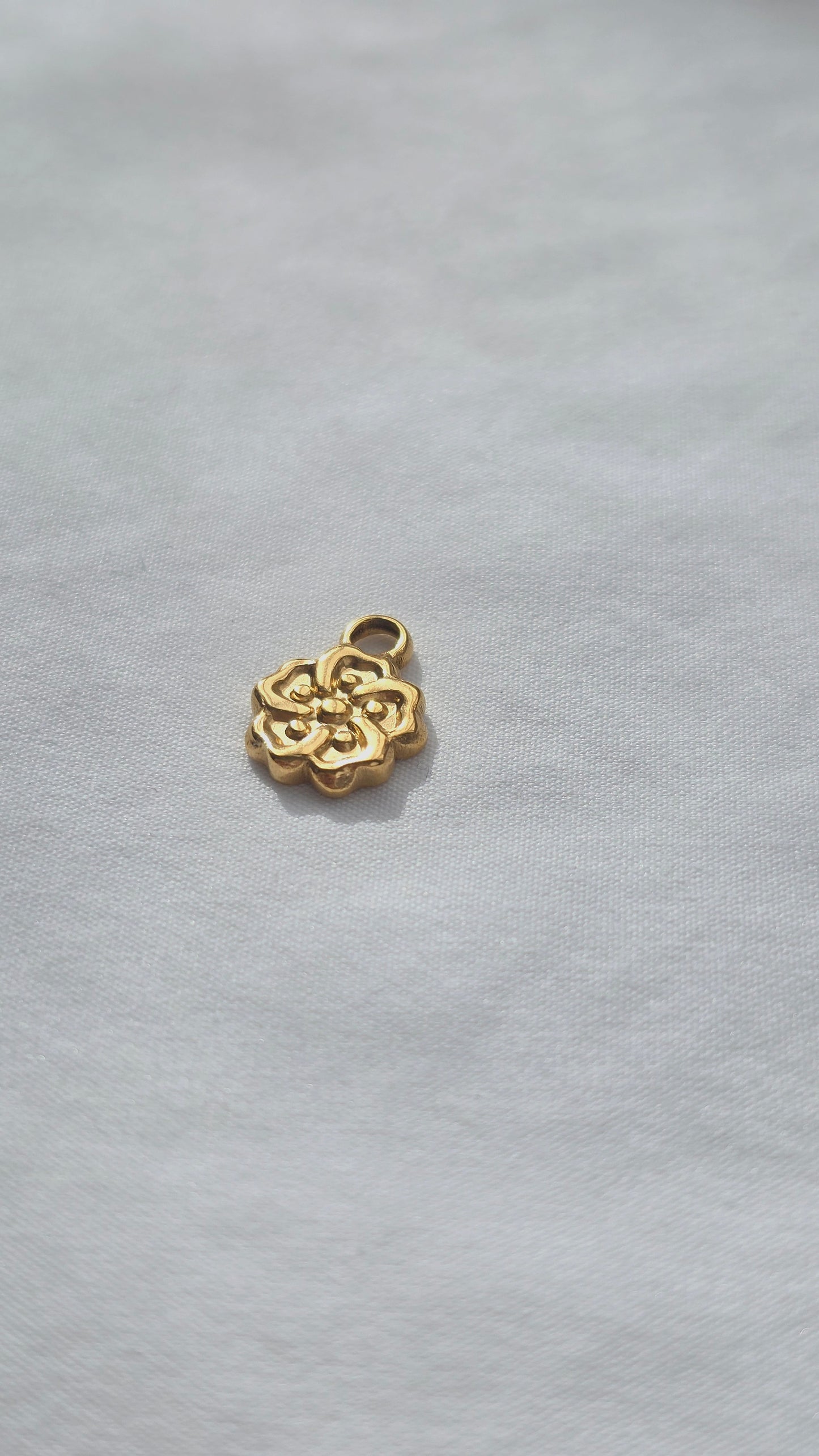 BLOOMIE 𖦹 Charm