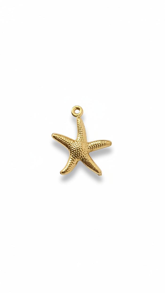 MARIS STAR 𖦹 Charm