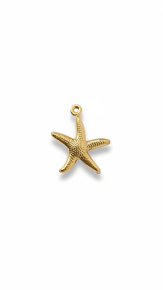 MARIS STAR 𖦹 Charm