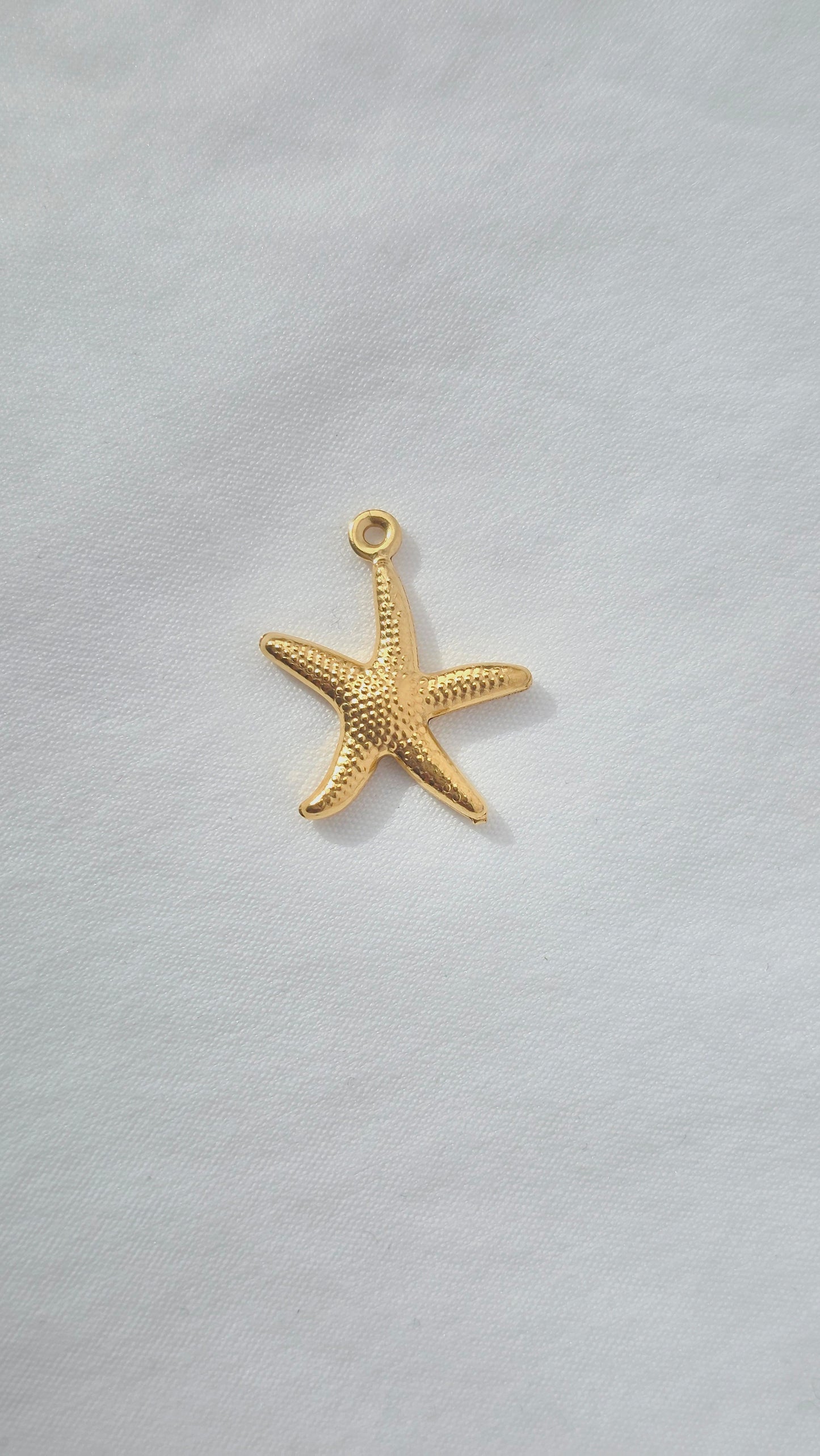MARIS STAR 𖦹 Charm