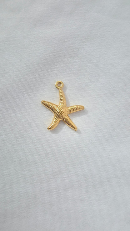 MARIS STAR 𖦹 Charm