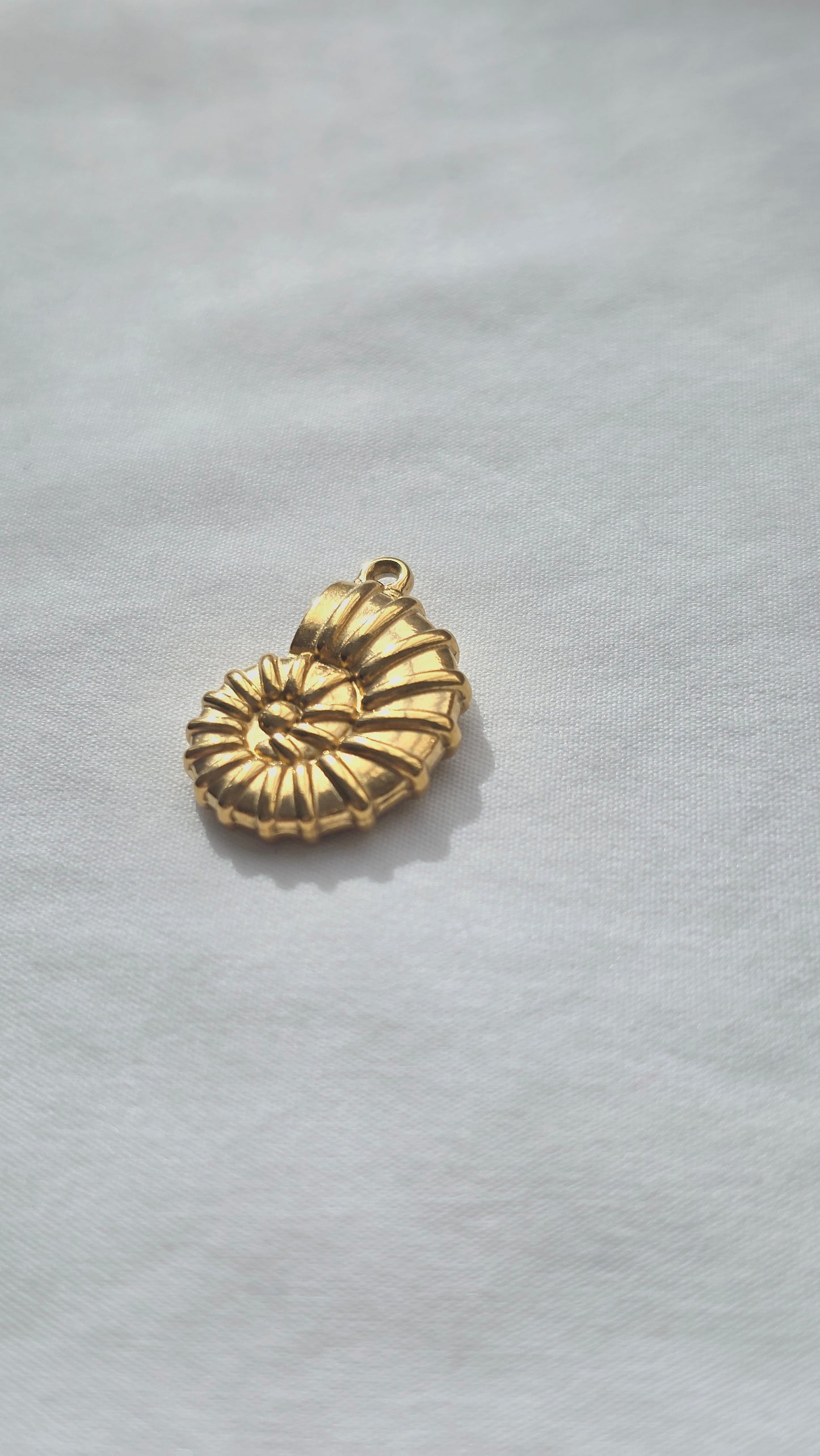 AMMONA 𖦹 Charm