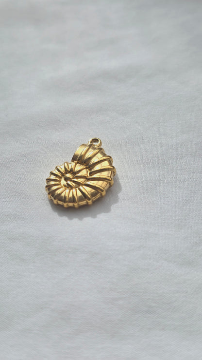 AMMONA 𖦹 Charm