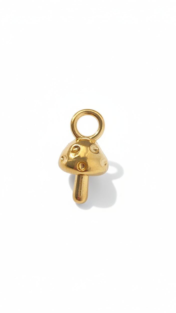GOLDEN LUCK 𖦹 Charm
