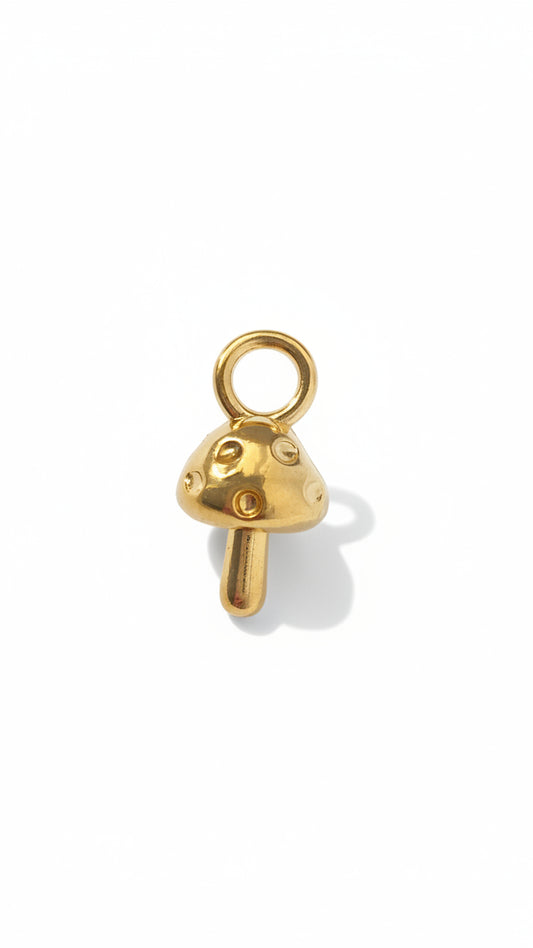 GOLDEN LUCK 𖦹 Charm