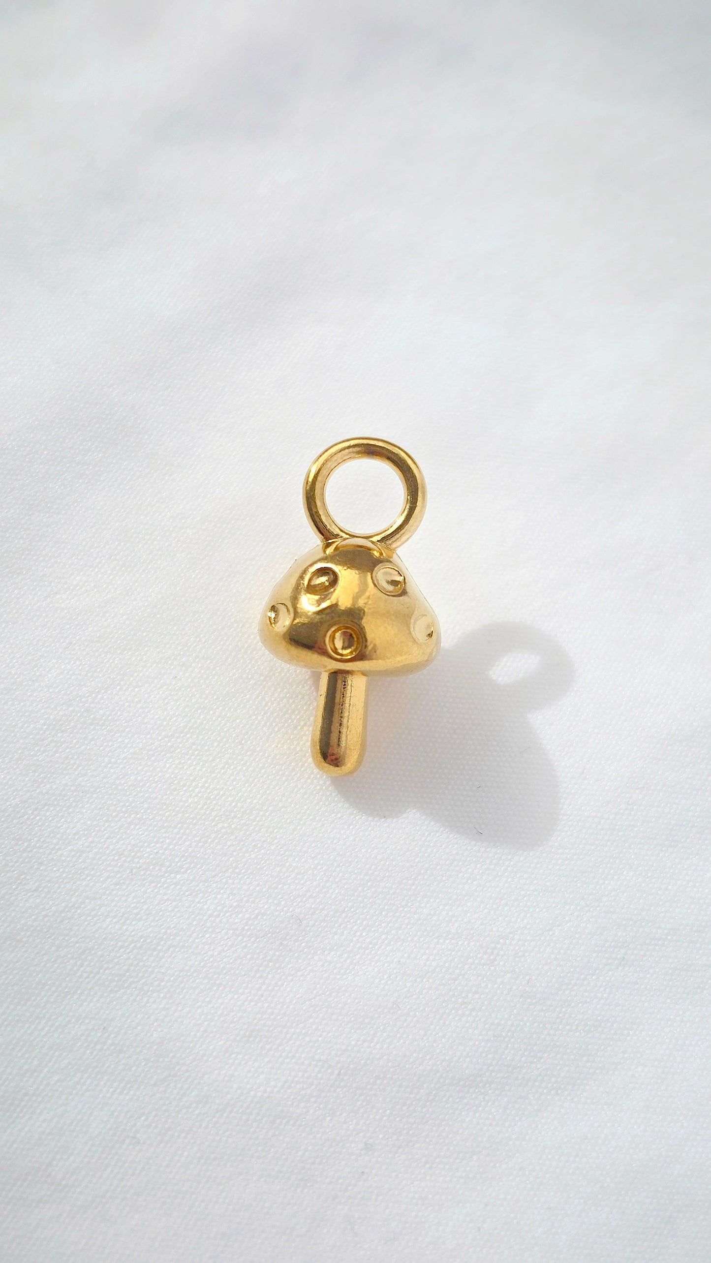 GOLDEN LUCK 𖦹 Charm