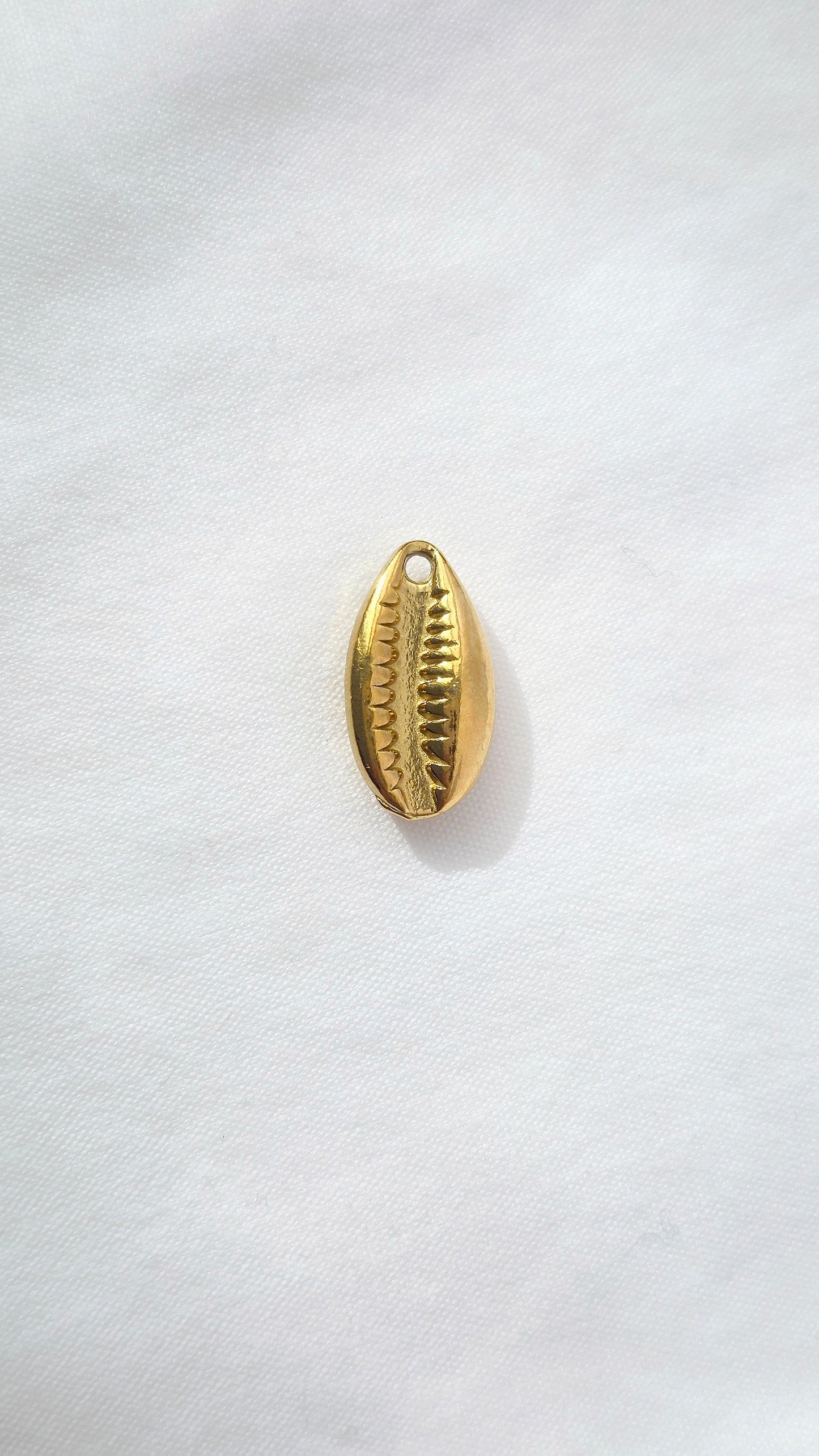 COWRIE 𖦹 Charm