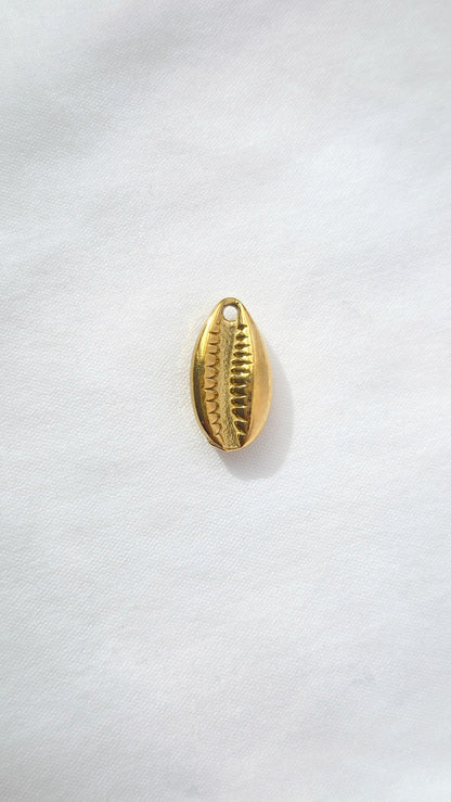 COWRIE 𖦹 Charm