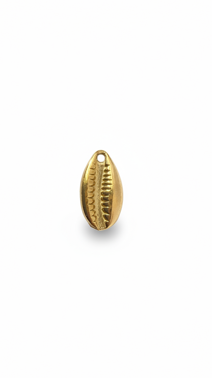 COWRIE 𖦹 Charm