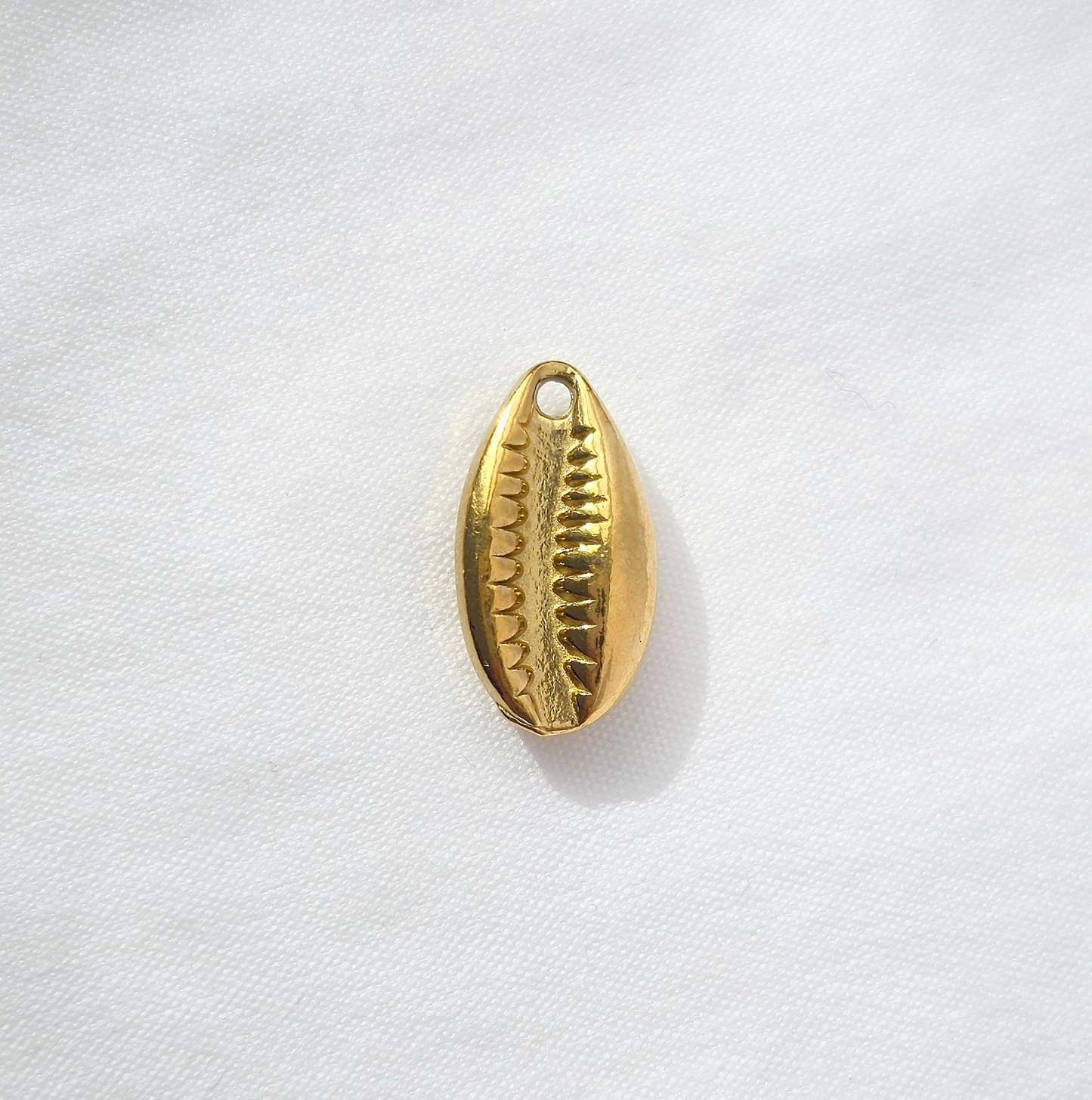 COWRIE 𖦹 Charm