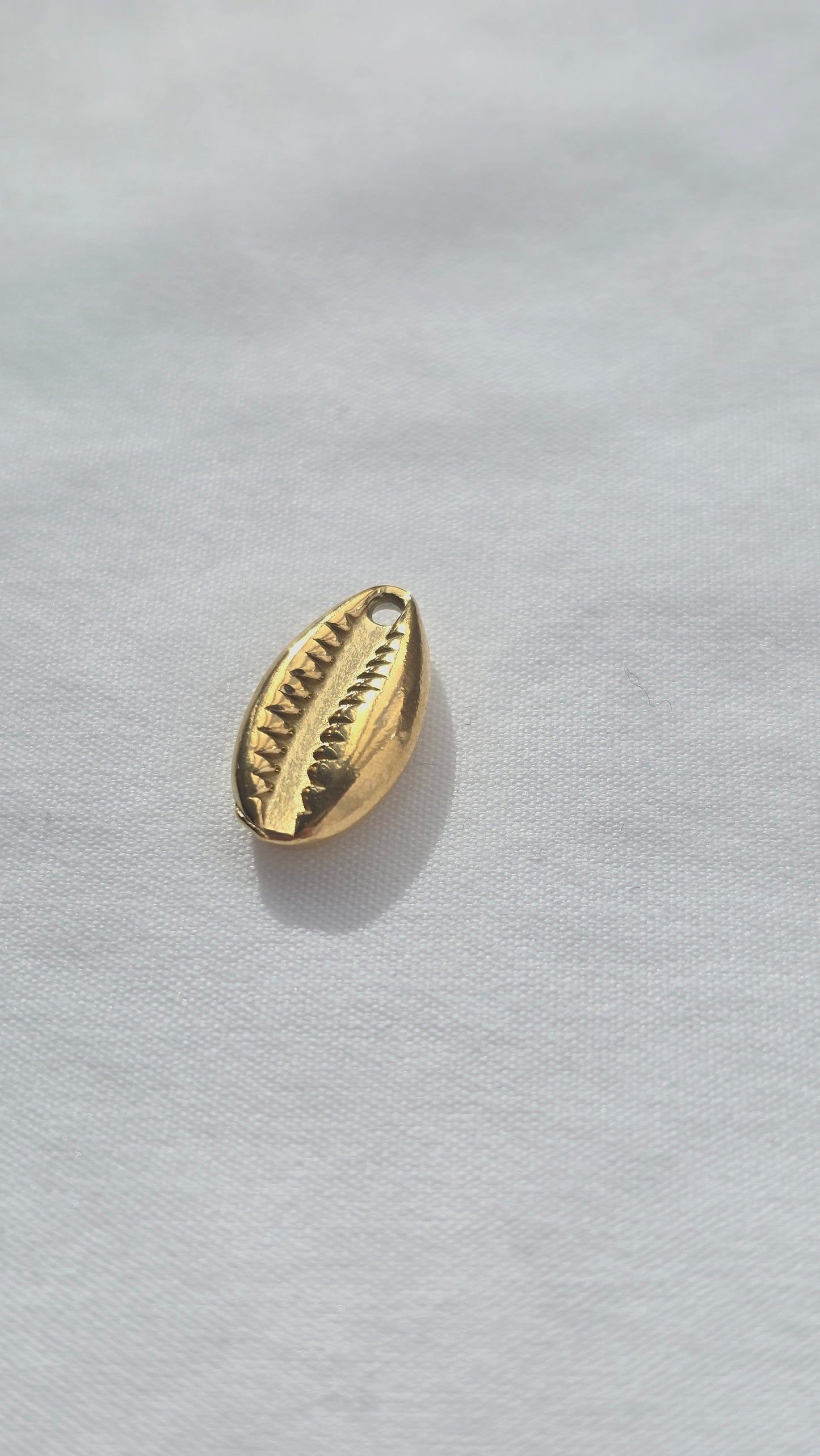 COWRIE 𖦹 Charm
