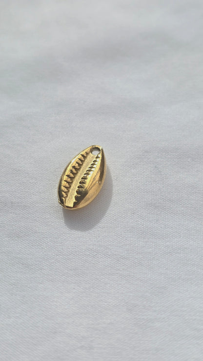 COWRIE 𖦹 Charm