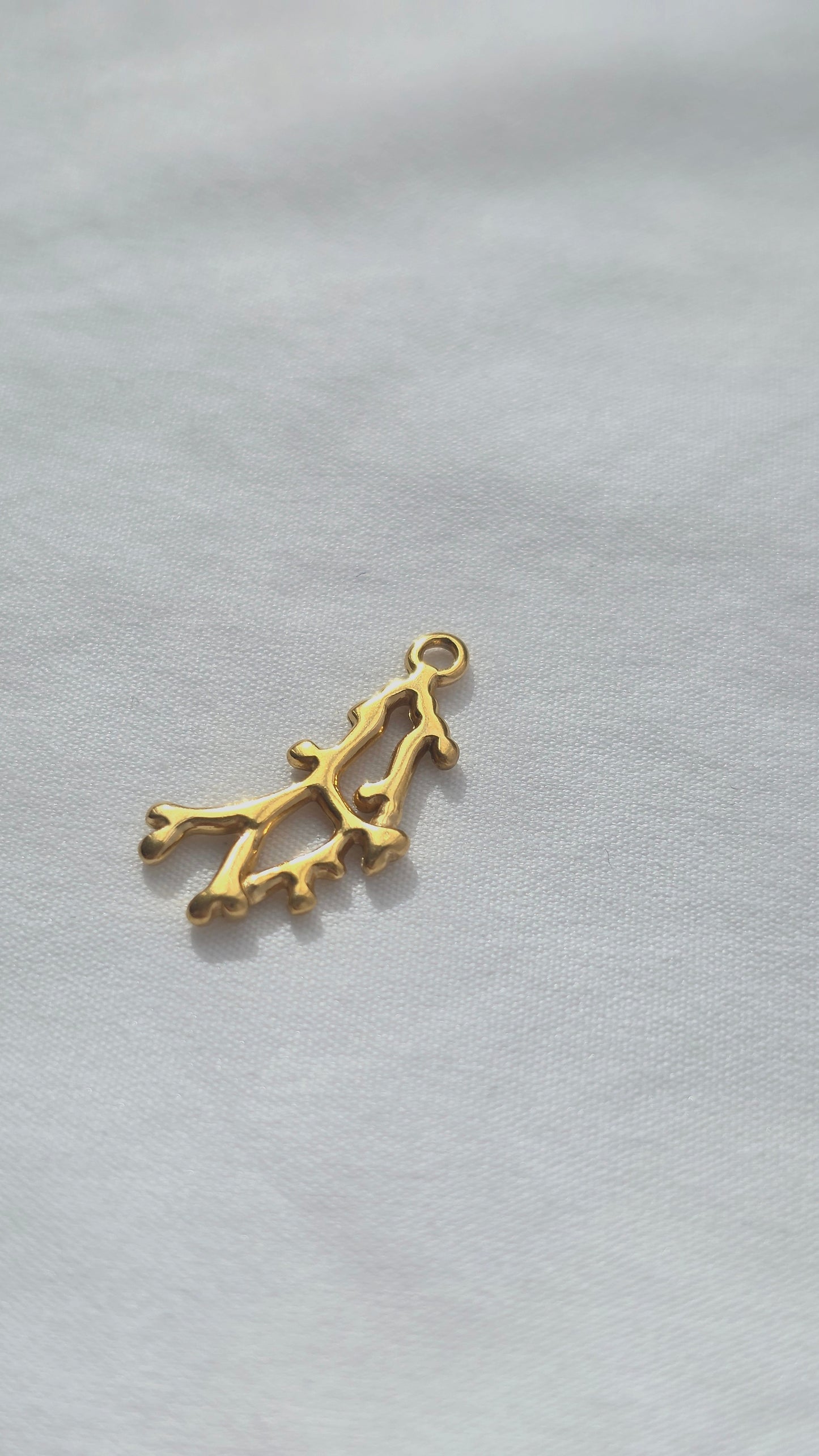 MARÉA 𖦹 Charm