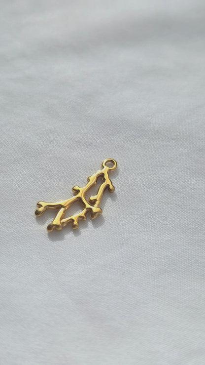 MARÉA 𖦹 Charm