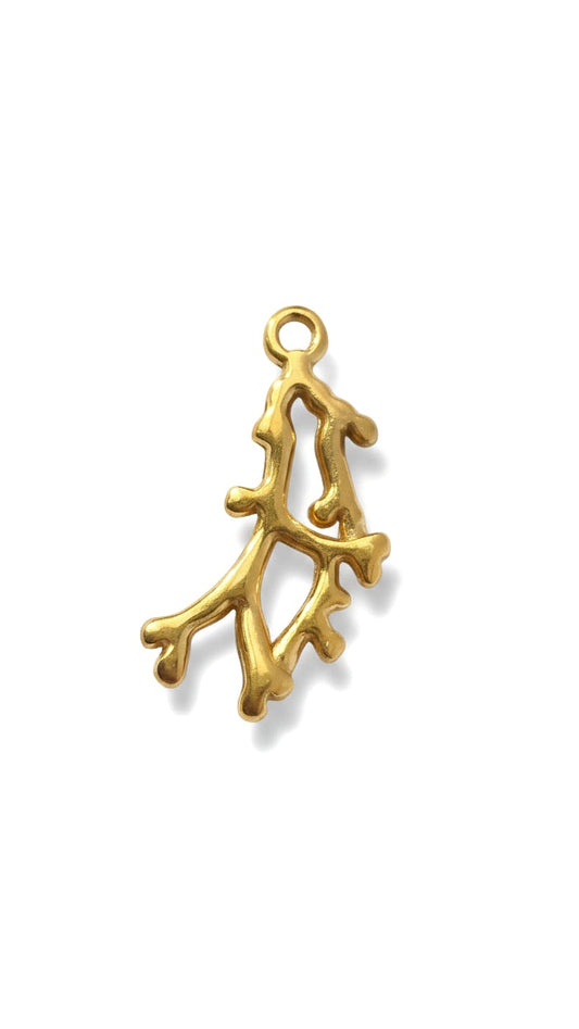 MARÉA 𖦹 Charm
