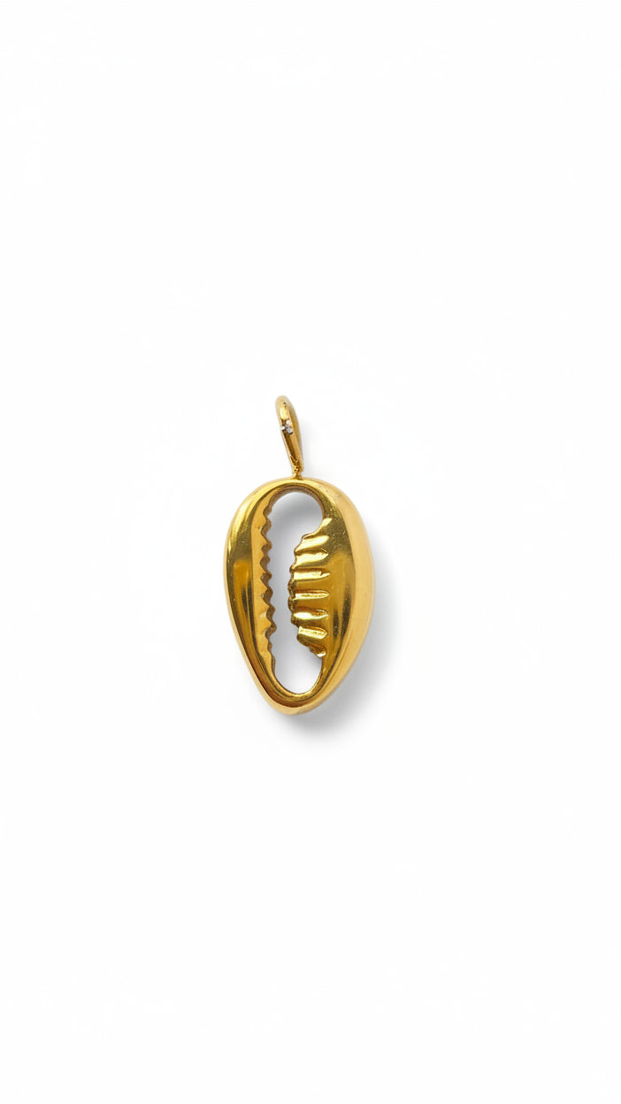 OCEAN COWRIE 𖦹 Charm