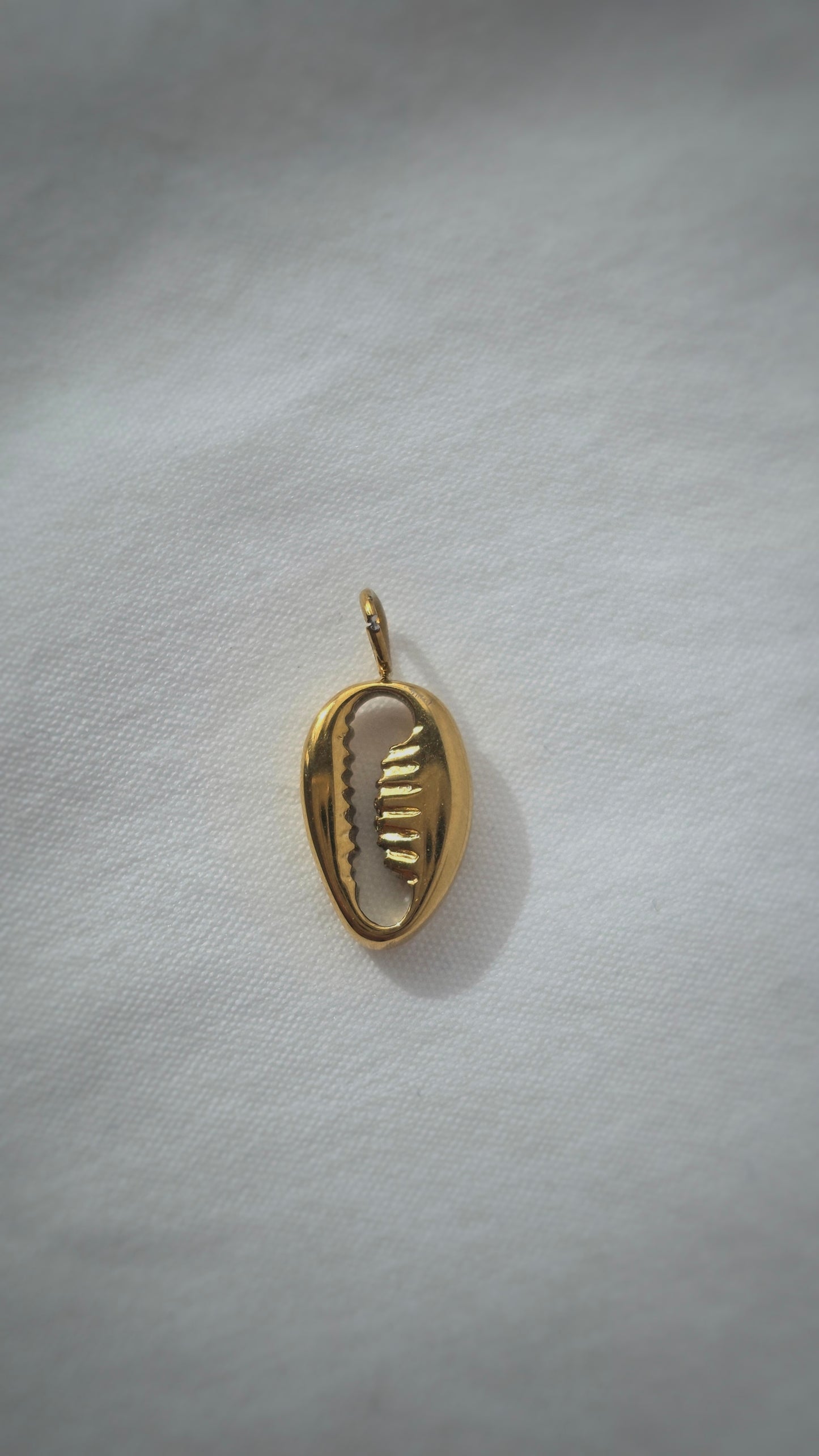 OCEAN COWRIE 𖦹 Charm