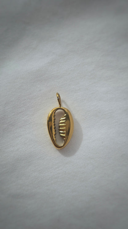OCEAN COWRIE 𖦹 Charm