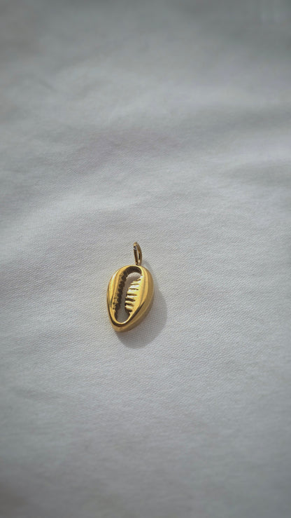 OCEAN COWRIE 𖦹 Charm