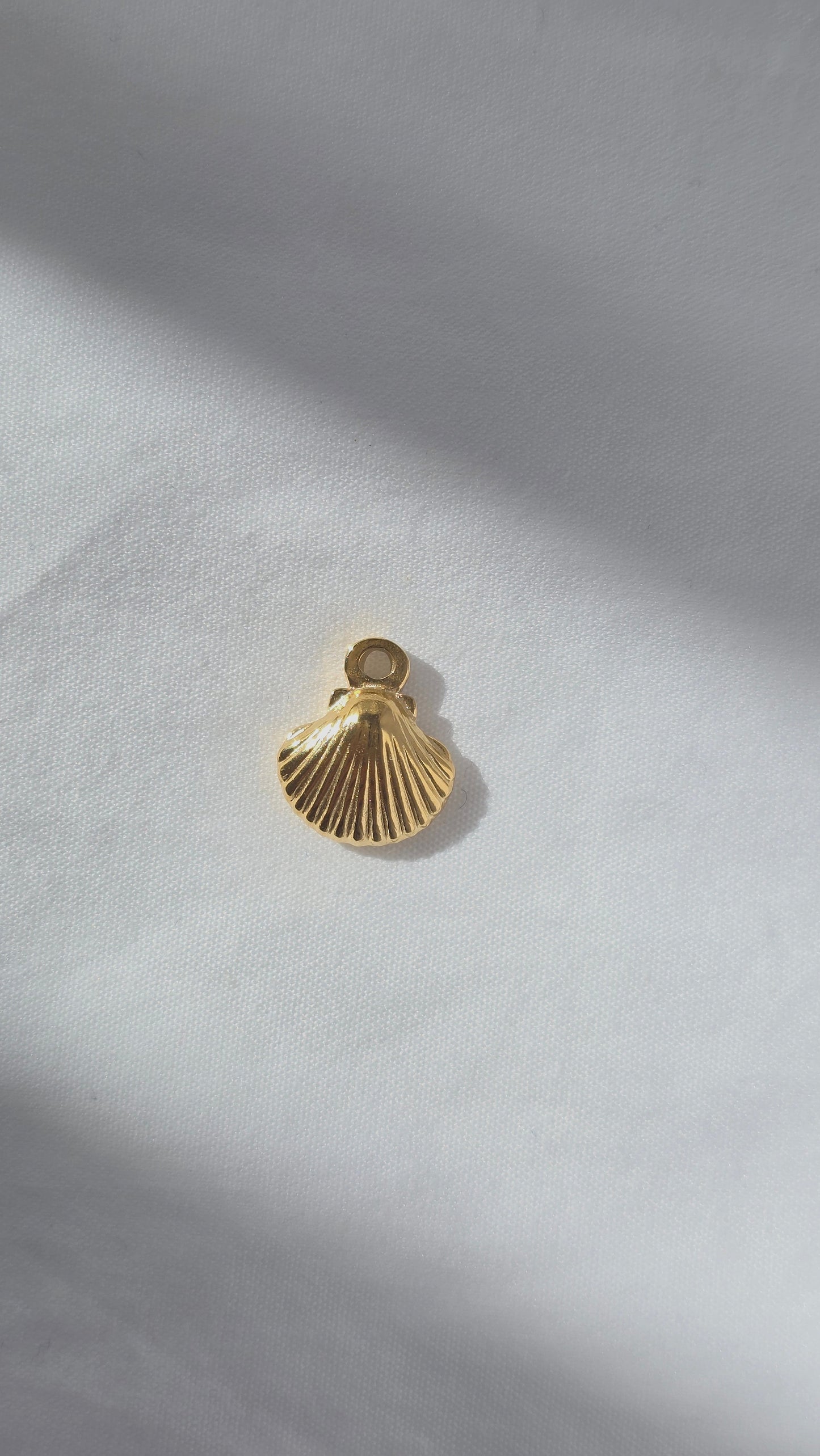 GOLDEN SHELL 𖦹 Charm