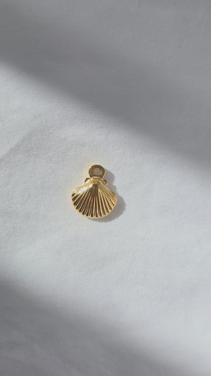 GOLDEN SHELL 𖦹 Charm