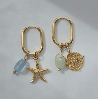 ZARIA COIN 𖦹 Charm