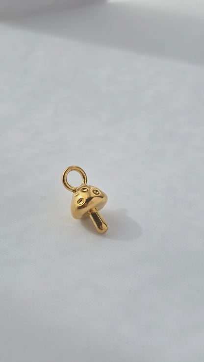 GOLDEN LUCK 𖦹 Charm