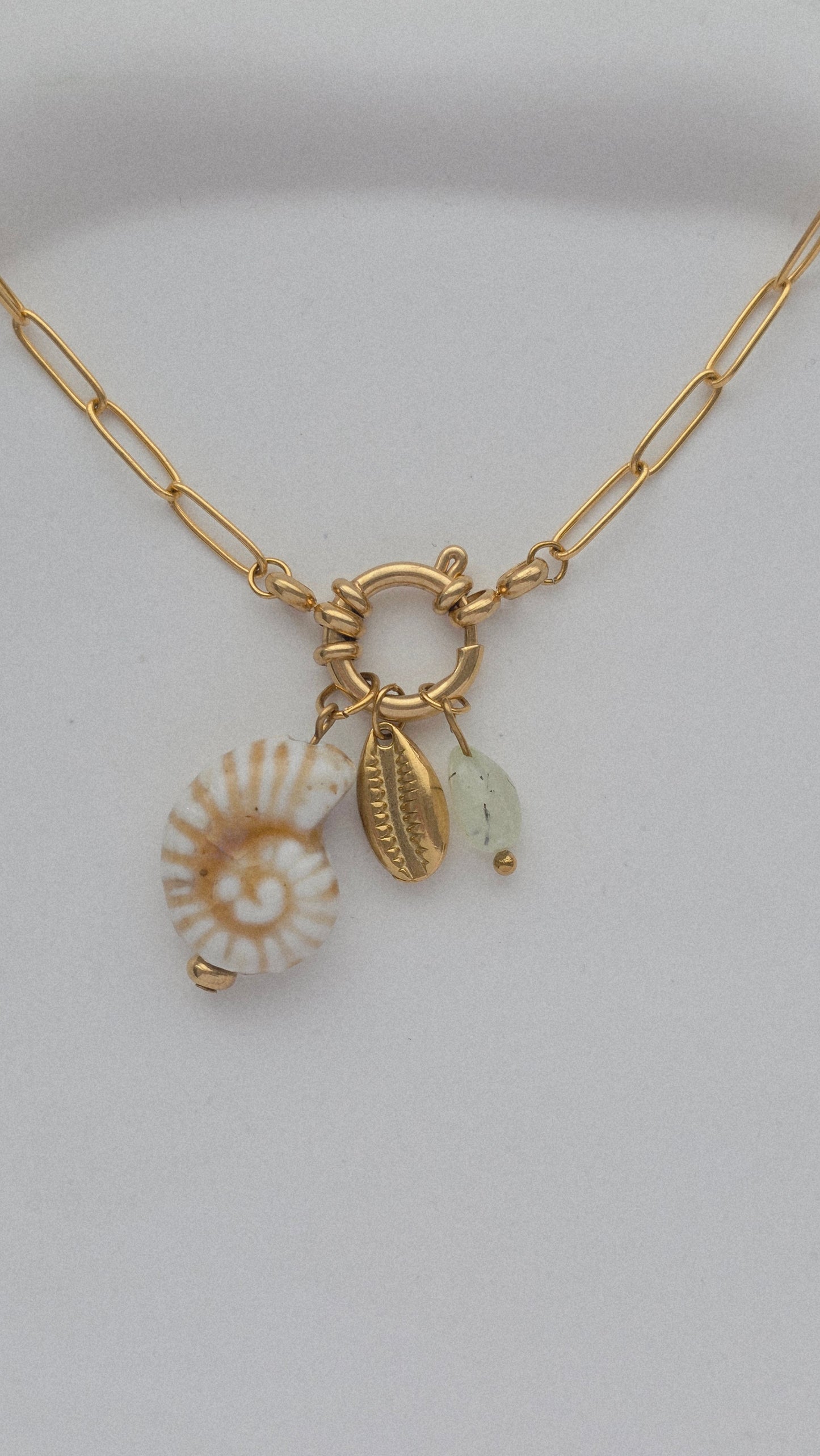 COWRIE 𖦹 Charm