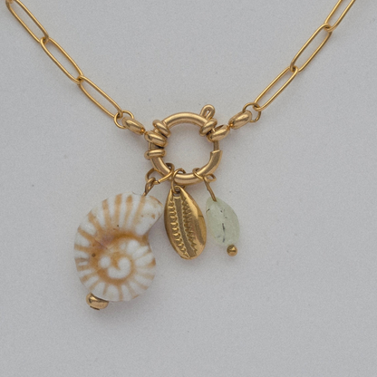COWRIE 𖦹 Charm