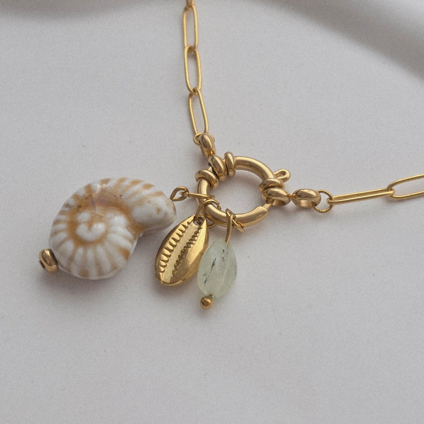 COWRIE 𖦹 Charm