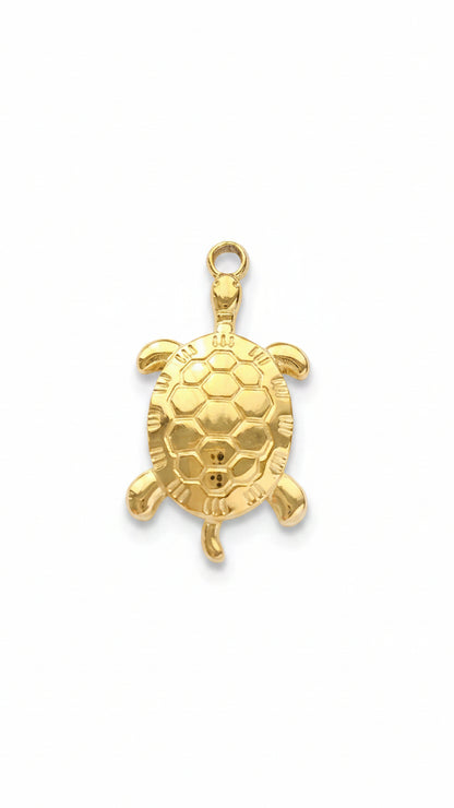 OCEAN TURTLE 𖦹 Charm