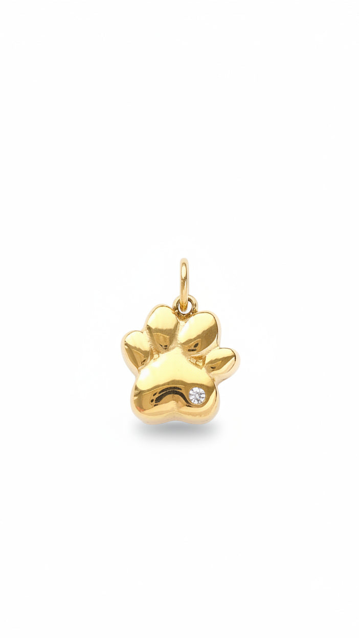 GOLDEN PAW 𖦹 Charm