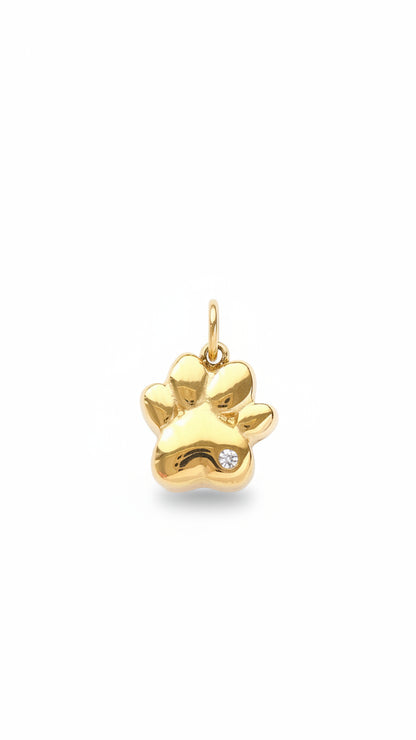 GOLDEN PAW 𖦹 Charm