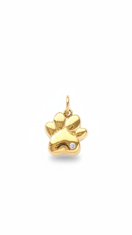 GOLDEN PAW 𖦹 Charm