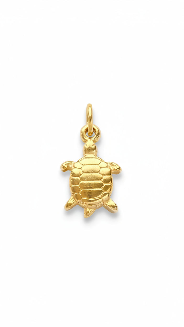 SMALL OCEAN TURTLE 𖦹 Charm