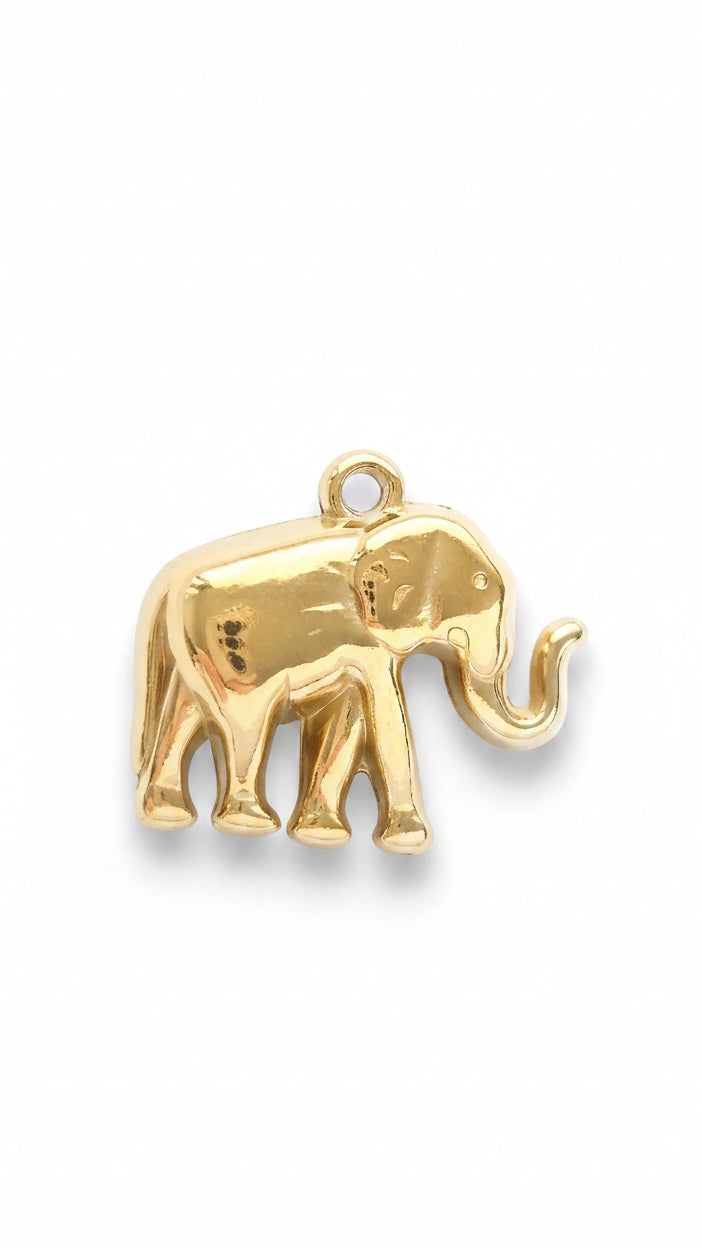 GOLDEN ELEPHANT 𖦹 Charm