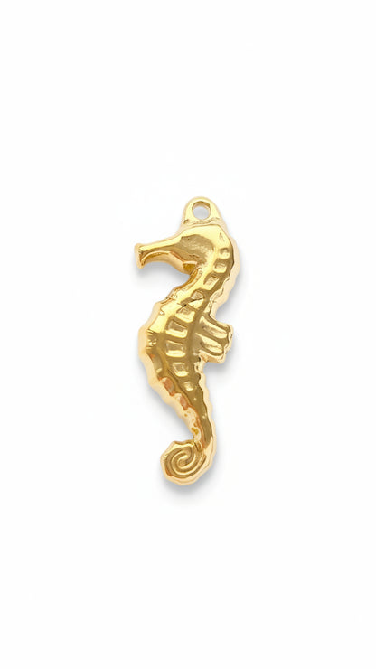 SEA ICON 𖦹 Charm