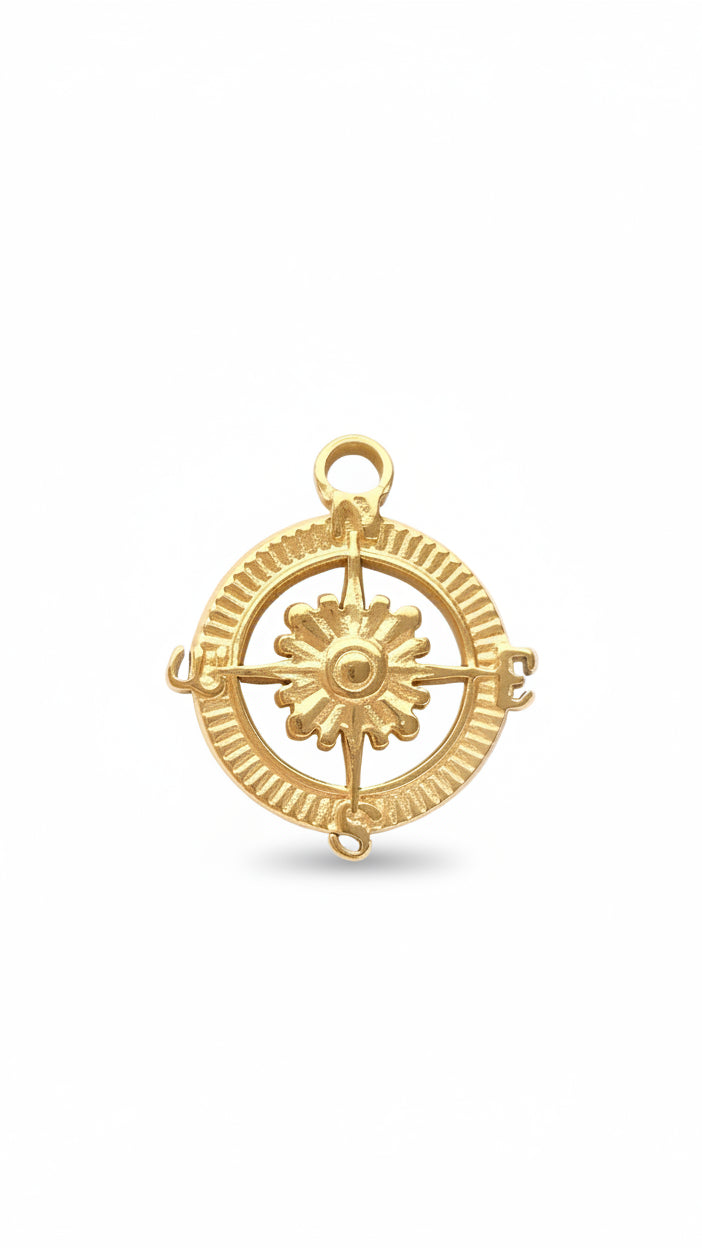 COMPASS 𖦹 Charm