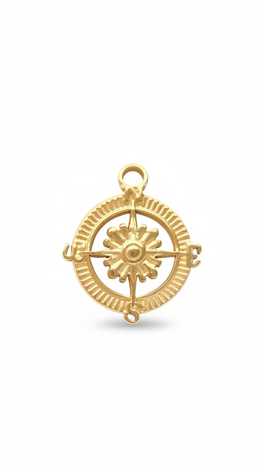 COMPASS 𖦹 Charm
