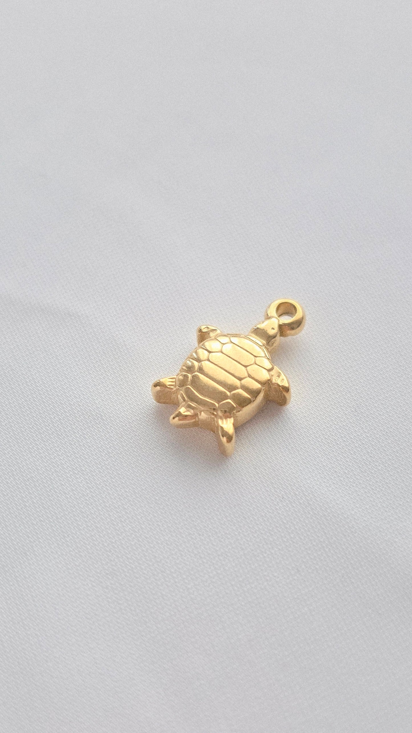 SMALL OCEAN TURTLE 𖦹 Charm