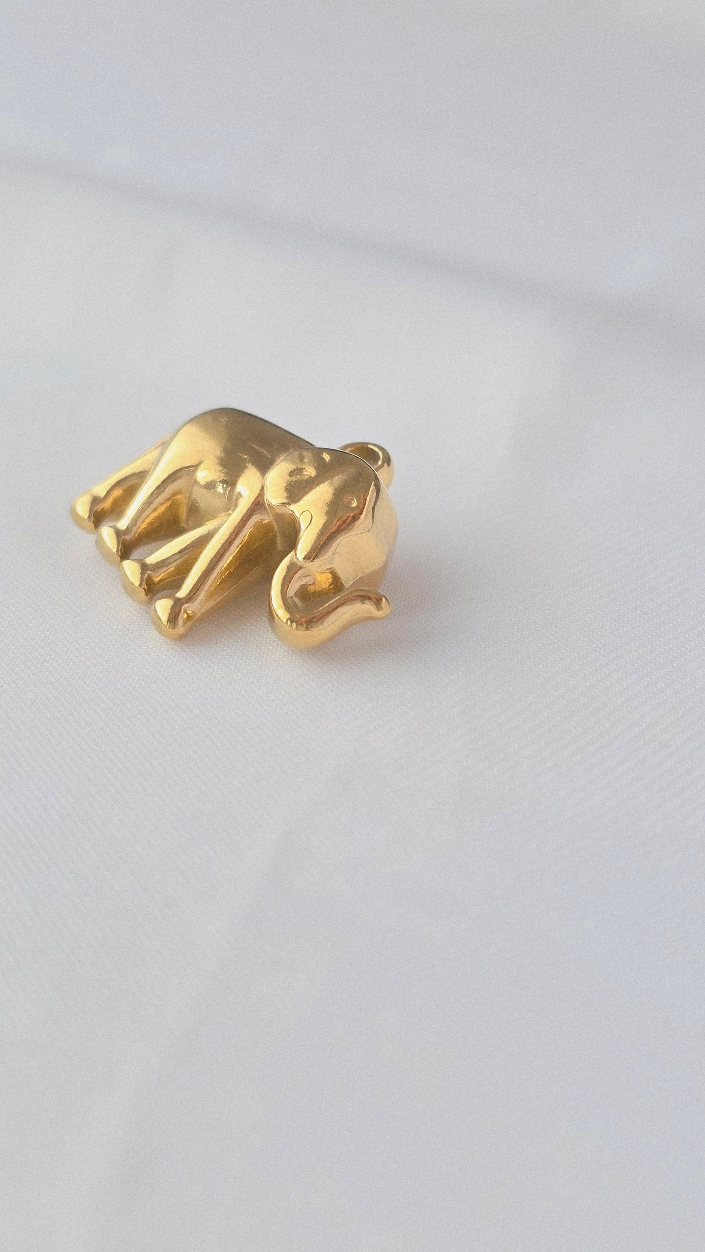 GOLDEN ELEPHANT 𖦹 Charm