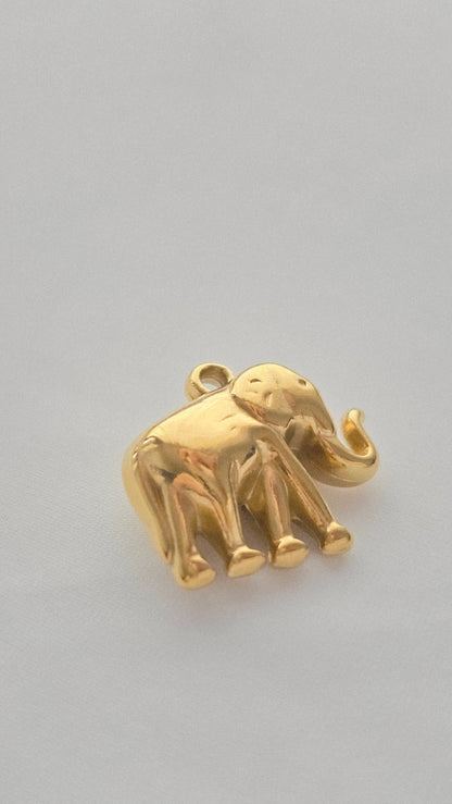 GOLDEN ELEPHANT 𖦹 Charm