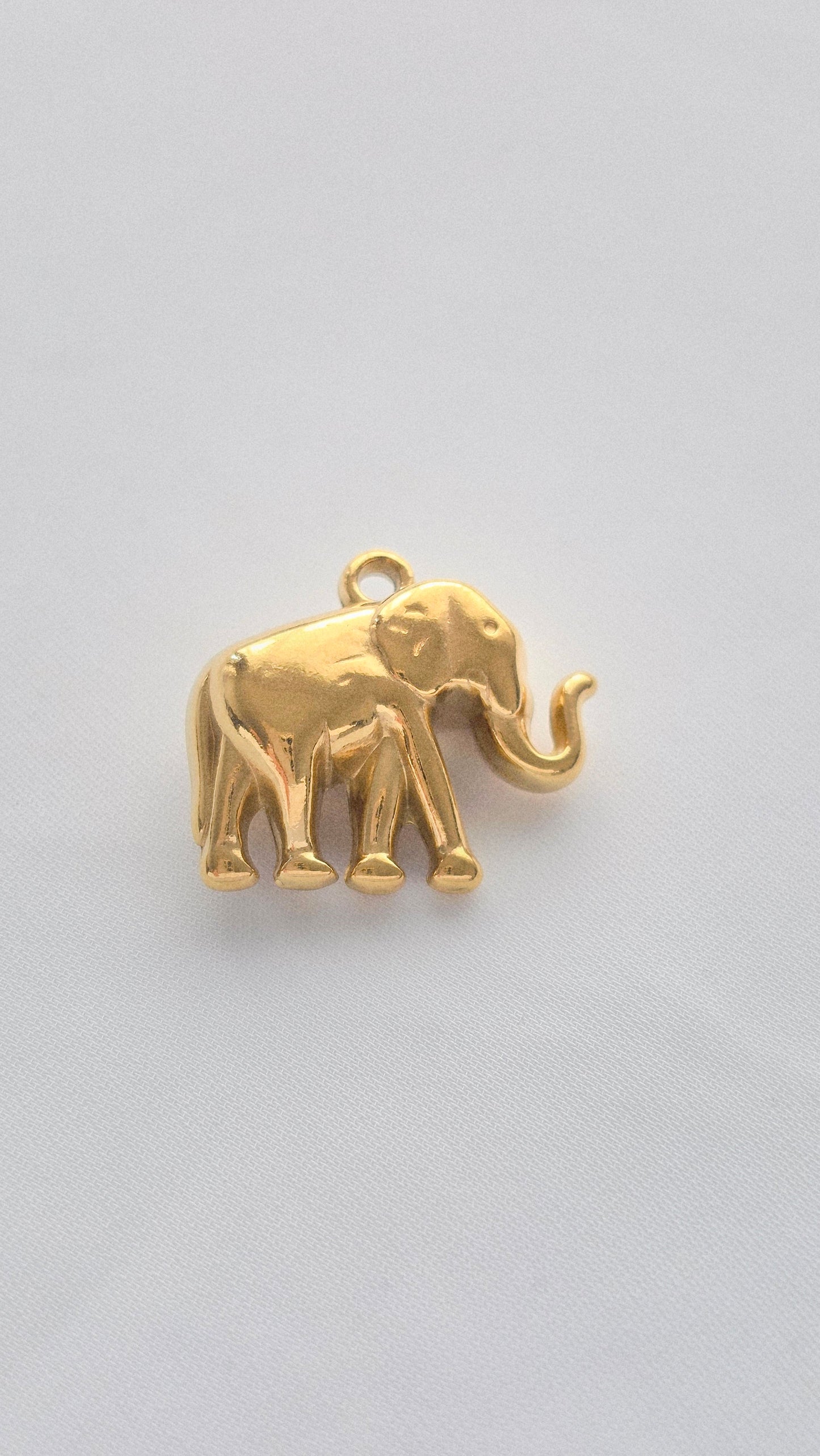 GOLDEN ELEPHANT 𖦹 Charm