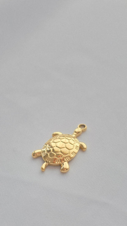 OCEAN TURTLE 𖦹 Charm