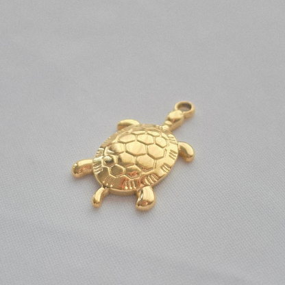 OCEAN TURTLE 𖦹 Charm