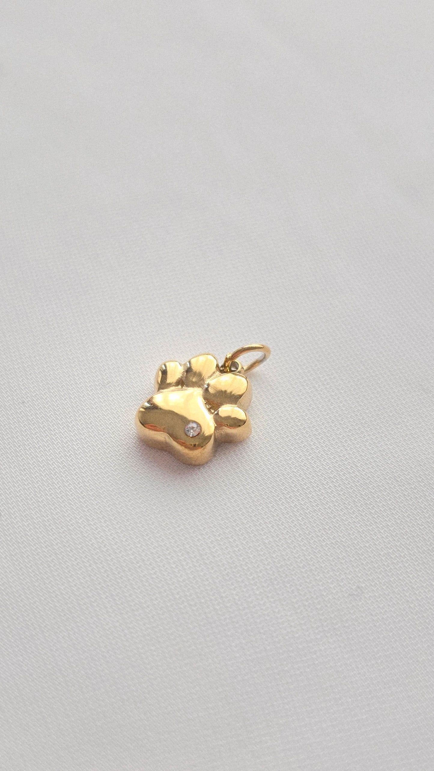 GOLDEN PAW 𖦹 Charm